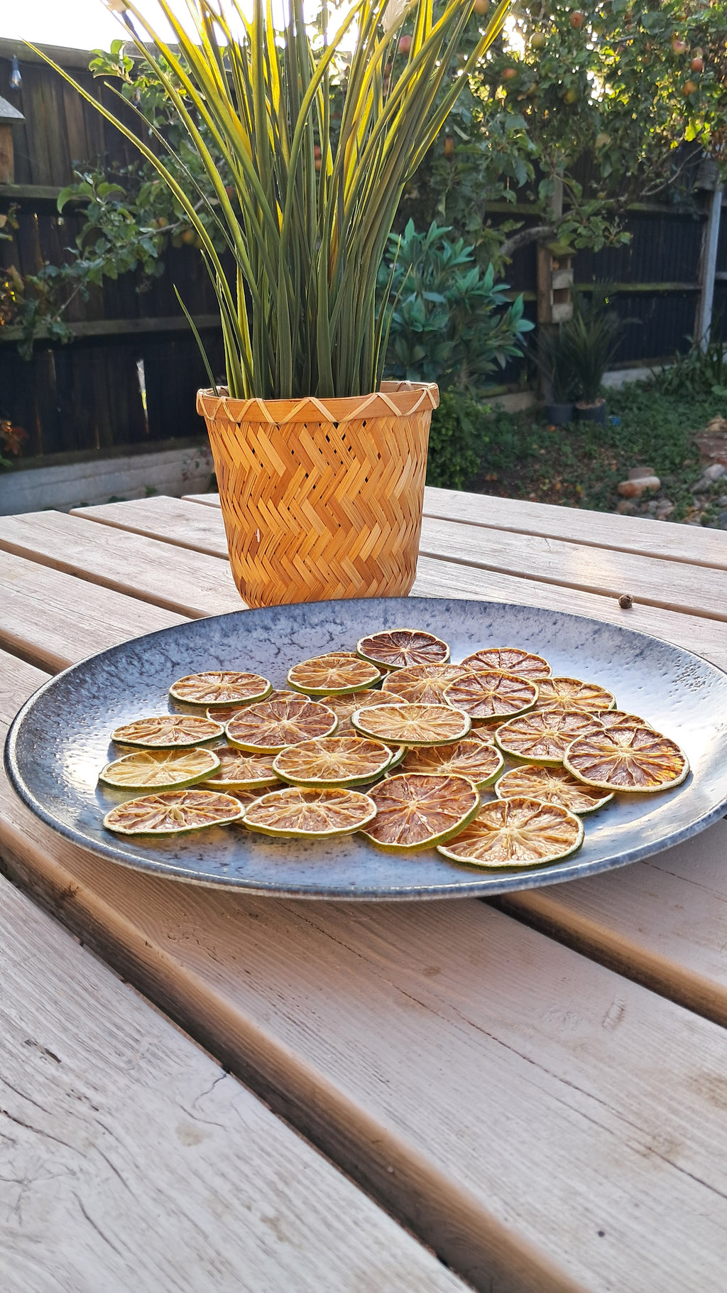 220+Piece Large Lime Box