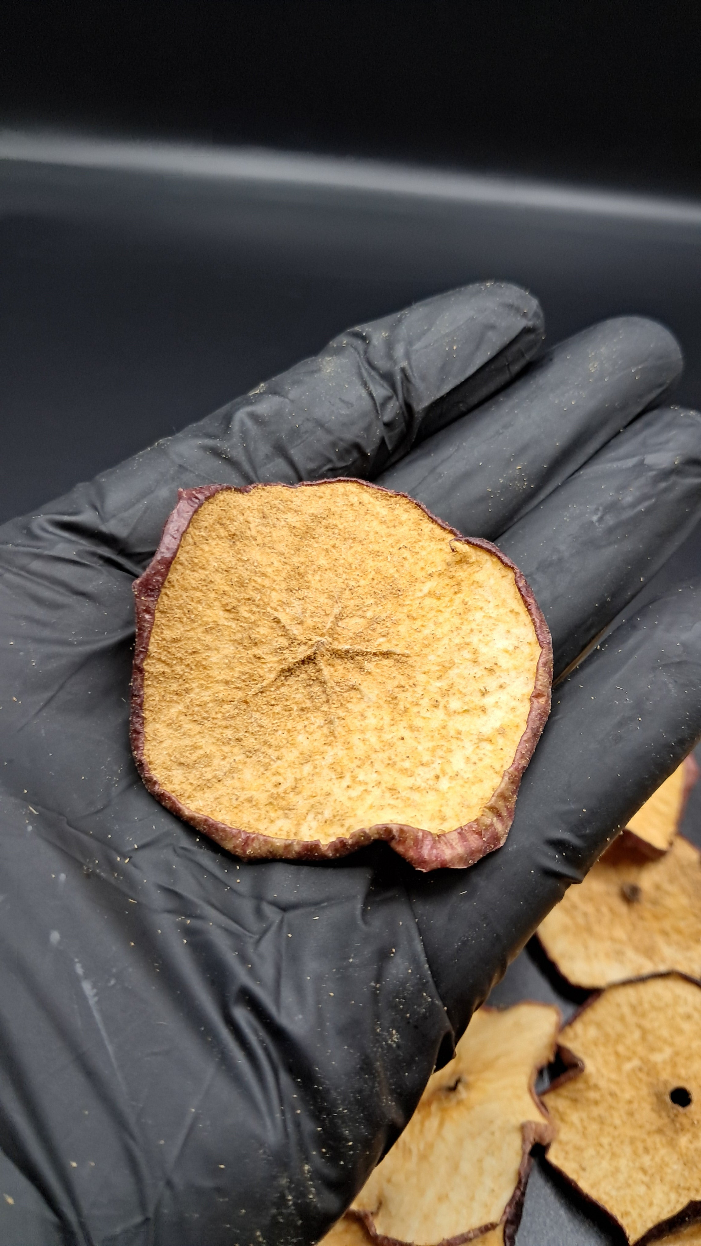 25+ Piece Dried Spiced Apple