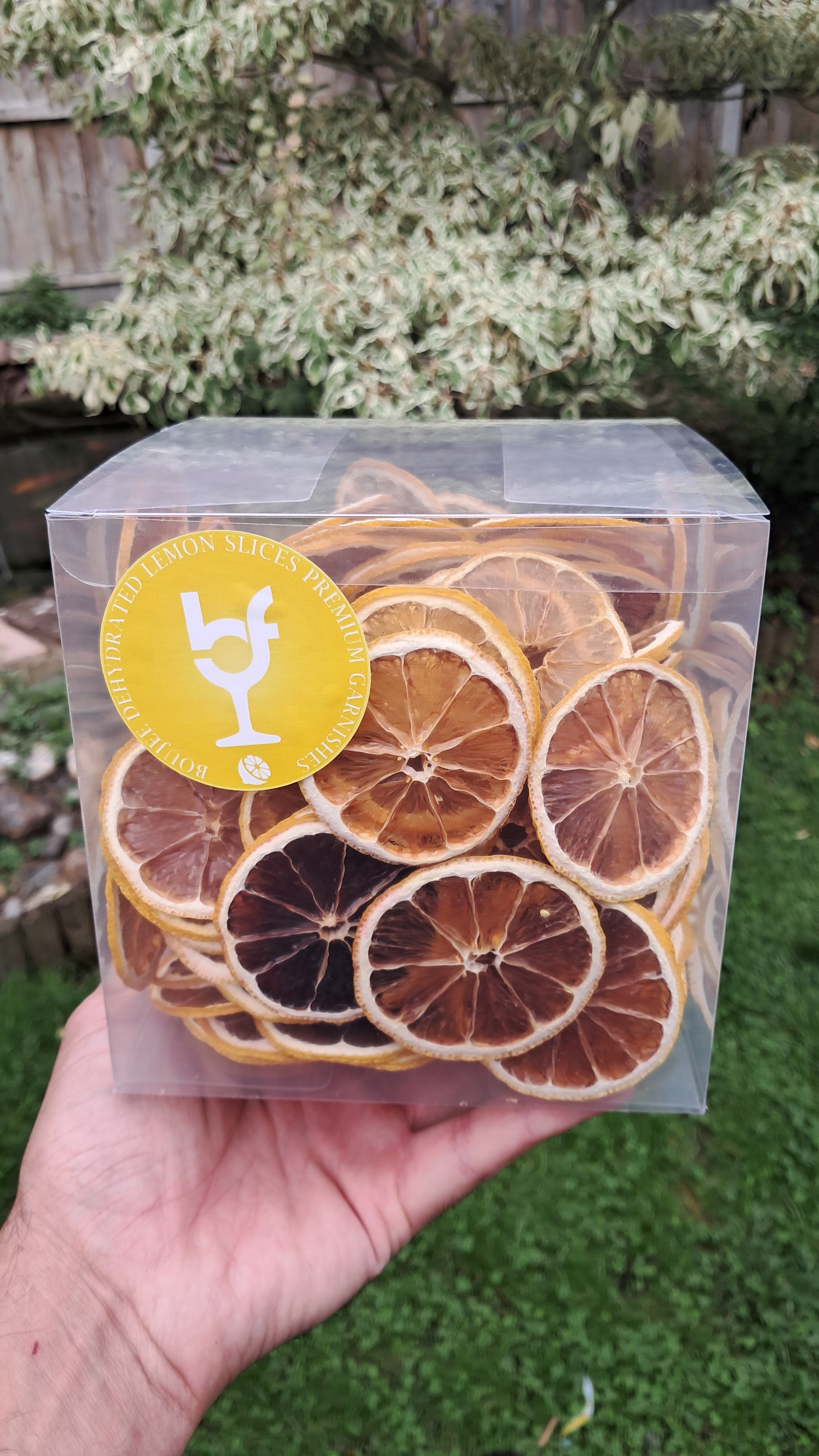 150+ Piece Large Lemon Box