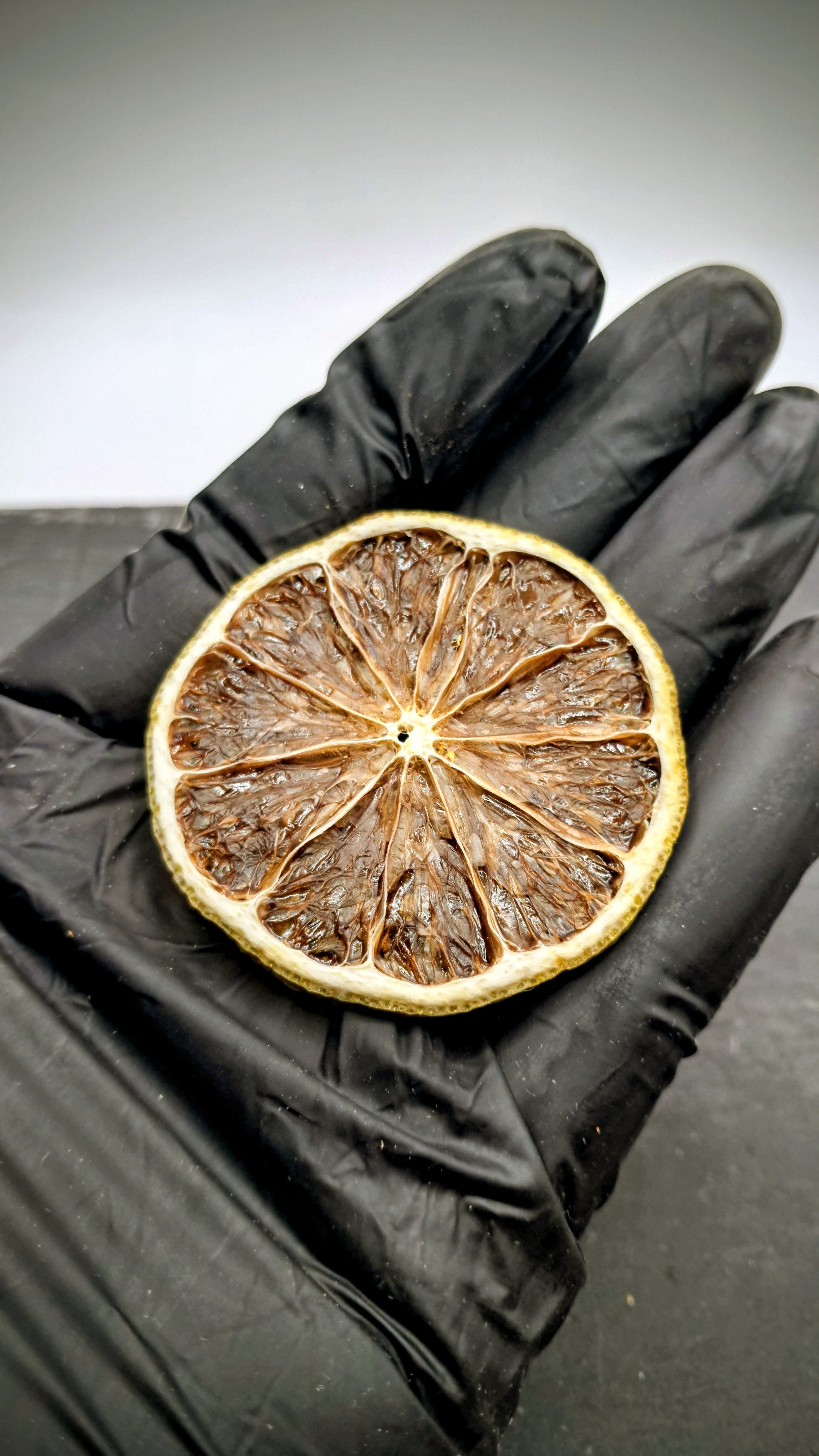 22+ Piece Citrus Wheels