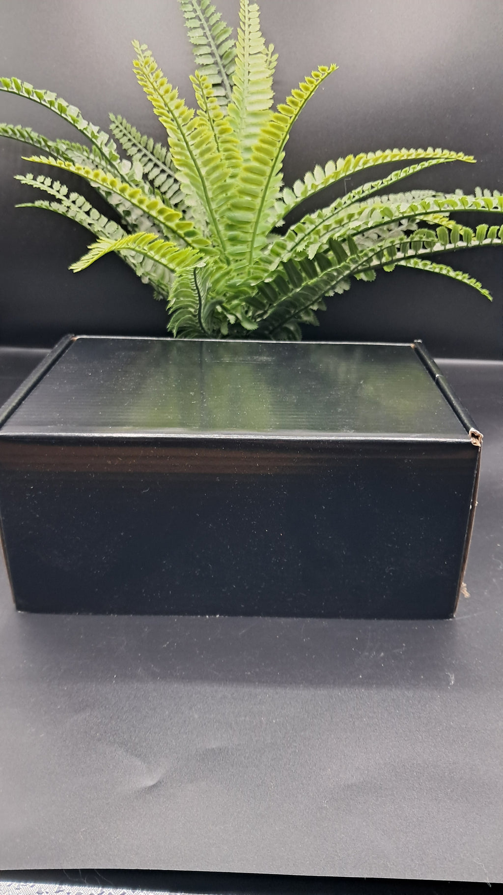 Boujee Fizz Black Label Box Cocktail Mocktail Gift Set Dehydrated Dried Fruit Dried Citrus Cocktail Syrup, Strawberry Syrup