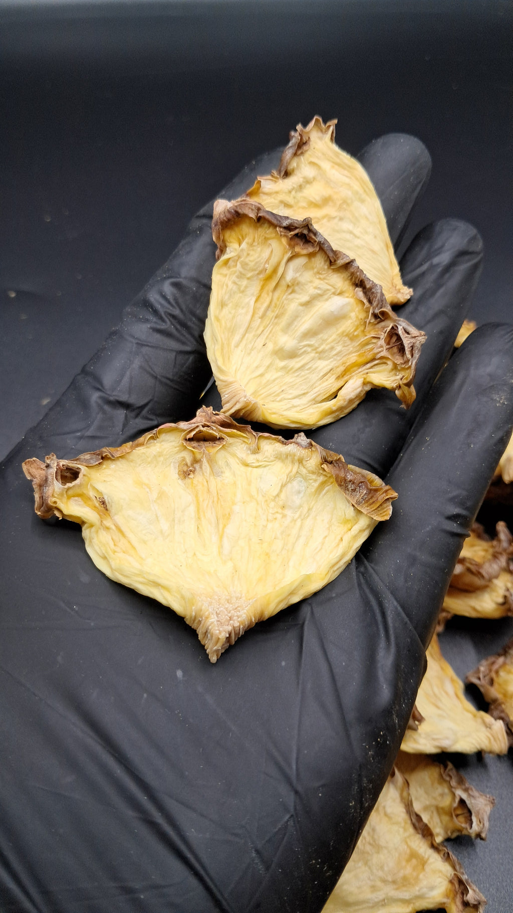 30+ Piece Pineapple Quarters