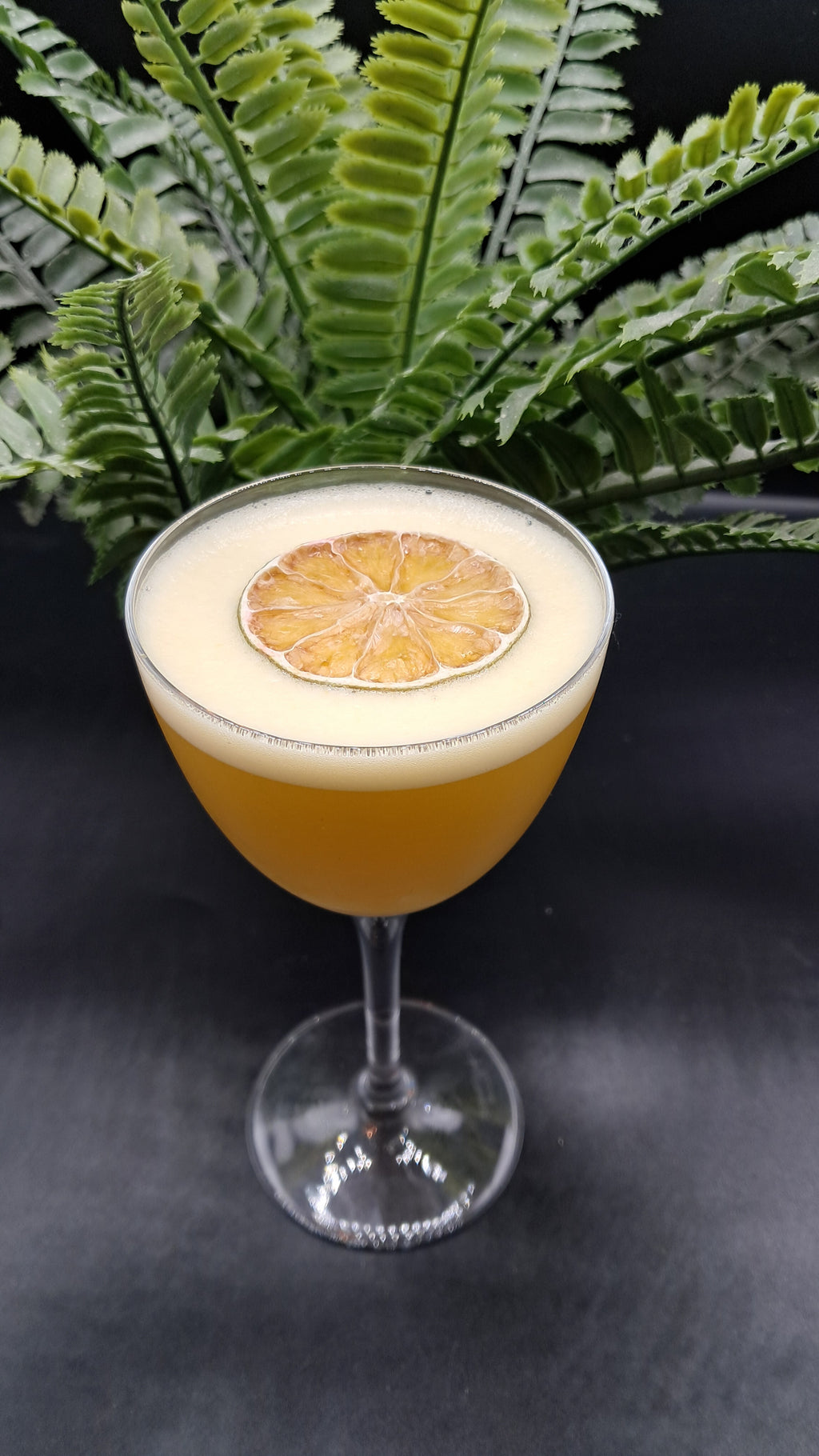 Lime Wheels 500+ Piece Dehydrated Dried Lime Garnishes Cocktails, Mocktails Dried Citrus