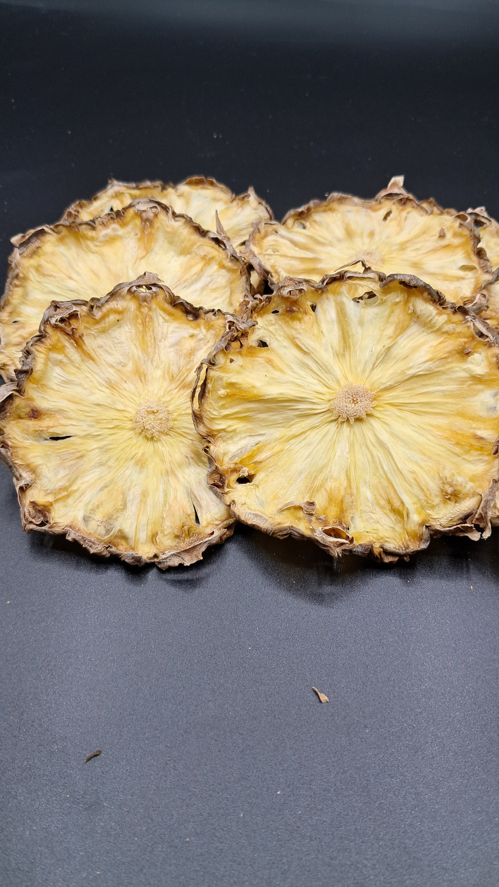 20+ Dried Pineapple Wheels