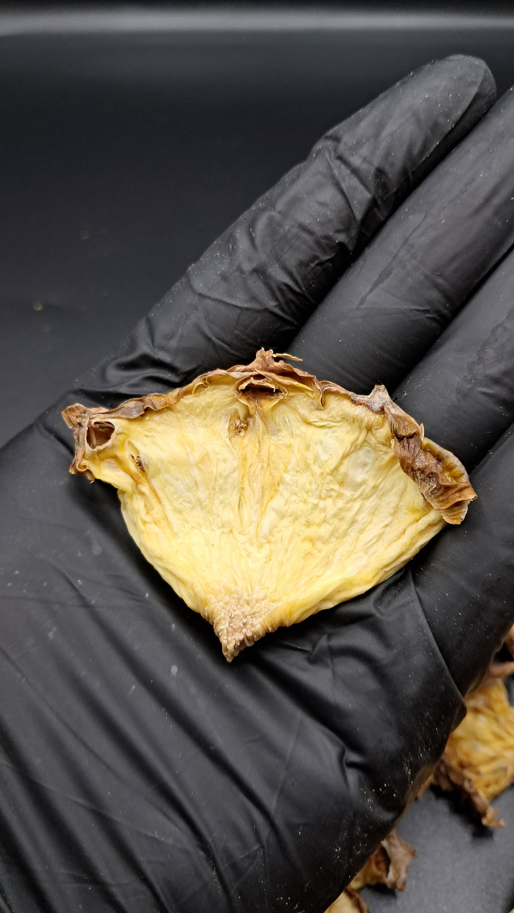 30+ Piece Pineapple Quarters