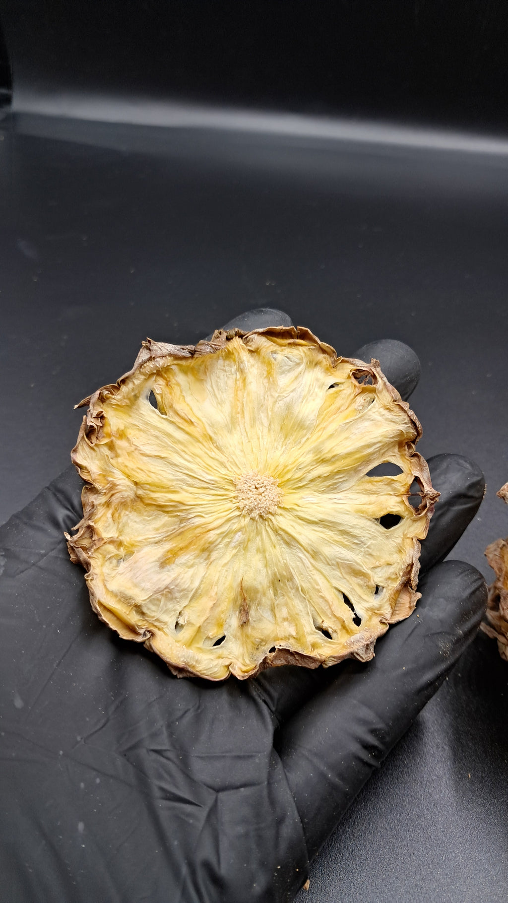 20+ Dried Pineapple Wheels