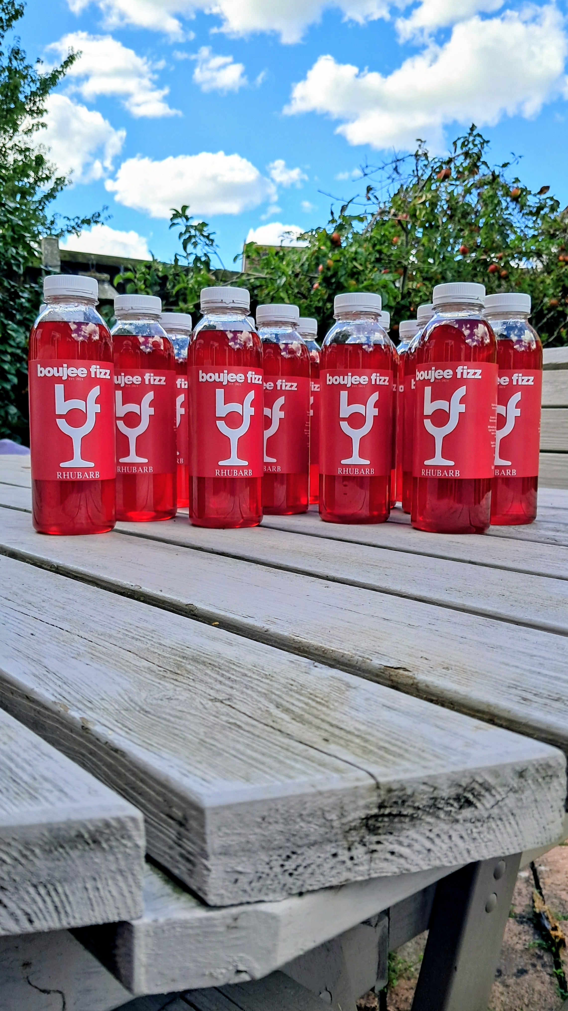 Rhubarb Puree infused fruit Cocktail Flavoured Syrup 100% Natural/Alcohol Free/Children's Drink/Sodas/Low Calorie/Alcohol Free,Smoothies,Daiquiri,milkshakesCooking,Baking