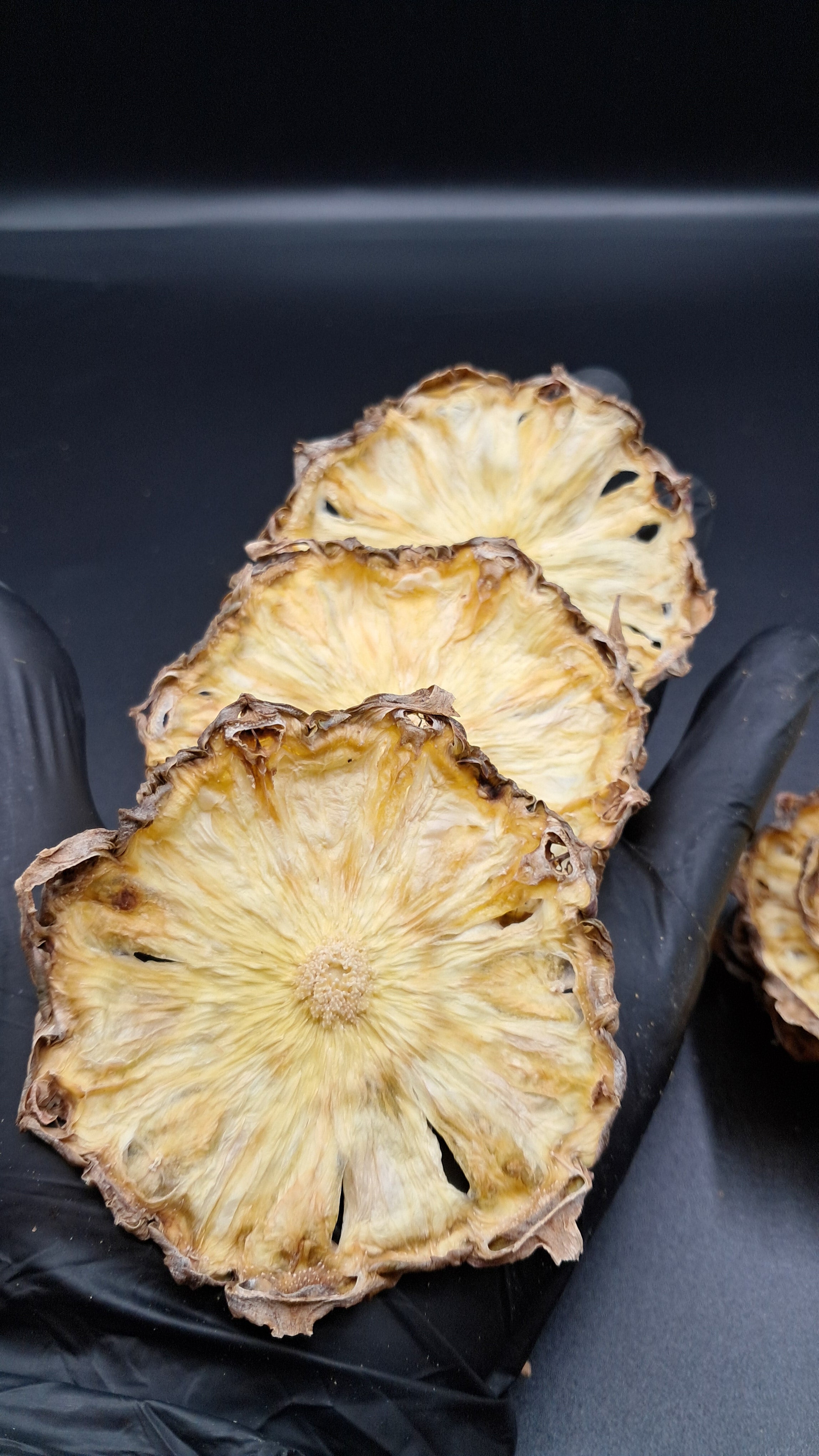 20+ Dried Pineapple Wheels